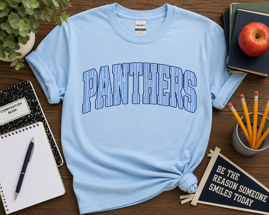 Panthers Varsity Stripe Tee