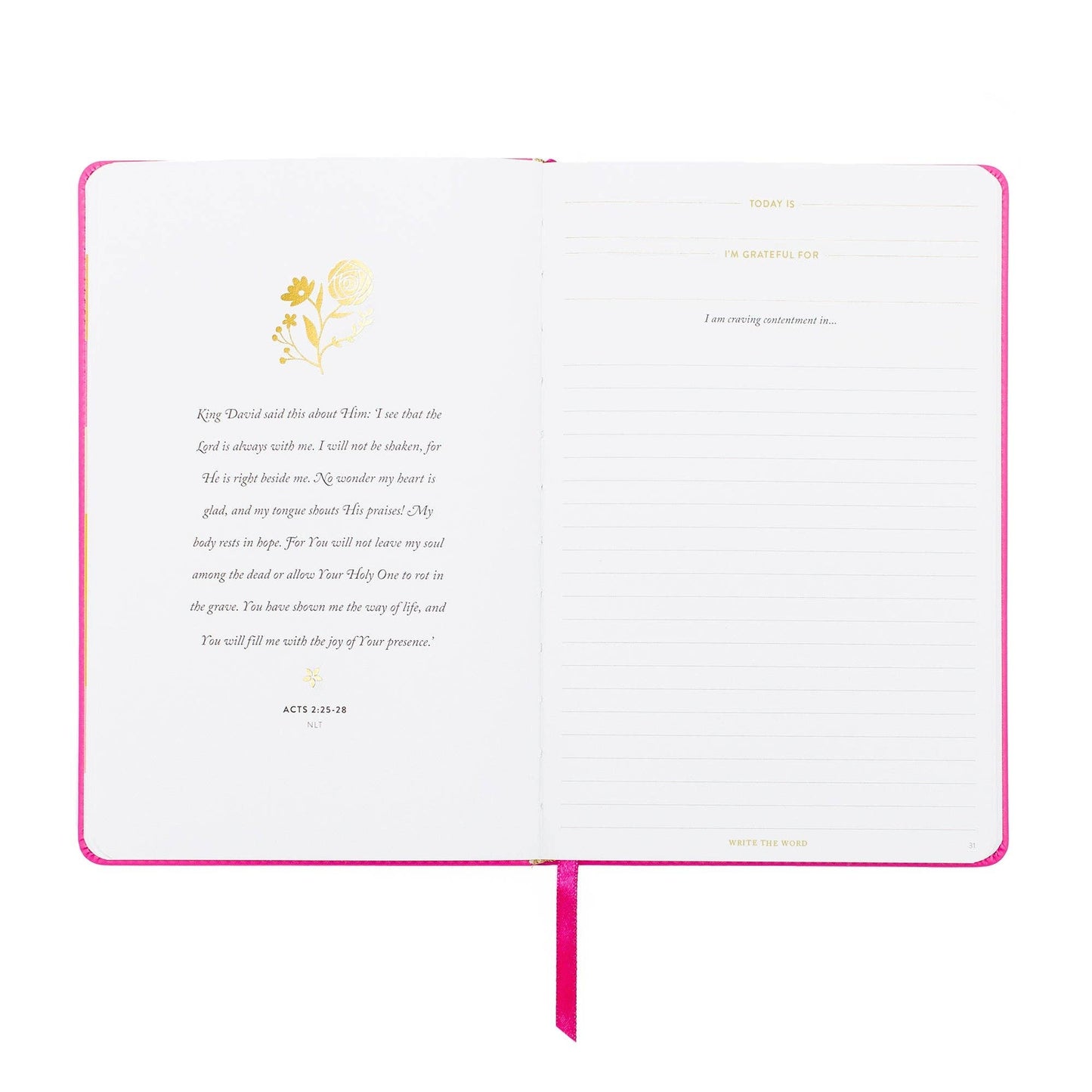 Write The Word® Journal | Cultivate Contentment