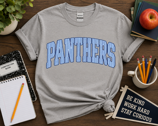 Panthers Varsity Stripe Tee